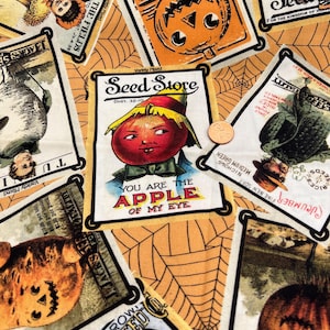 Pumpkin Patch by J. Wecker Frisch for Riley Blake. 100% Cotton.  Sold by the 1/2 yard.