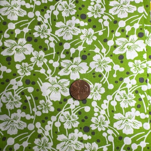 Mojito  by Another Point of View for Windham Fabrics. 100% Cotton. Sold by the 1/2 Yard.