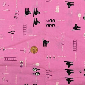 Puede incluir: Una tela rosa con un patrón repetitivo de gatos negros, escaleras, paraguas, saleros, espejos y huesos de la suerte con texto que incluye Superstitious, Woe is me, Loves me not, Too bad y Watch out. Una moneda de cobre está sobre la tela.