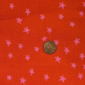 Starry by Alexia Marcelle Abegg for Ruby Star Society. 100% Cotton. Sold by the 1/2 yard.