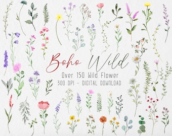 Boho Flower Watercolor Bundle, Boho Floral Elements, Boho Rose Bouquets Clipart, Boho Flowers, Elegant Flowers Set, Wild Flower Clipart