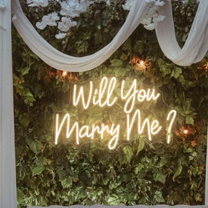 Você vai se casar comigo Placa de néon Placa de néon de casamento personalizada Luz LED Decoração de parede para casa Cenário de festa de noivado Decoração de noivado Presente personalizado