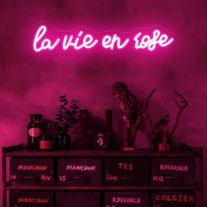 Letrero de neón La vie en rose, luz de neón LED rosa con cita francesa personalizada, letrero de rosa para dormitorio, decoración de pared para boda, hogar, jardín, patio, fiesta, regalo para ella