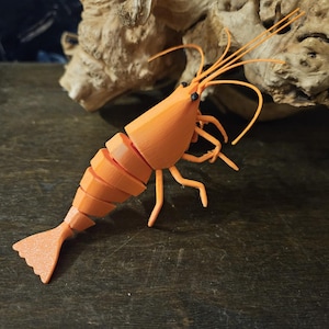 May include: A bright orange plastic shrimp figurine with segmented body parts and black eyes. The shrimp is posed with its tail curled up and its legs extended.