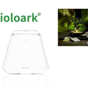 Könnte beinhalten: Ein klares Glasterrarium mit einer einzigartigen, geometrischen Form. Das Terrarium hat eine breite Basis, die sich nach oben verjüngt, mit dem Wort "Bioloark" auf der Unterseite. Der Markenname "Bioloark" wird ebenfalls in grüner Schrift oben angezeigt.