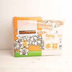 New Zealand Sphagnum Moss , Premier long fiber , 100 grams, Hand Picked (container not included)