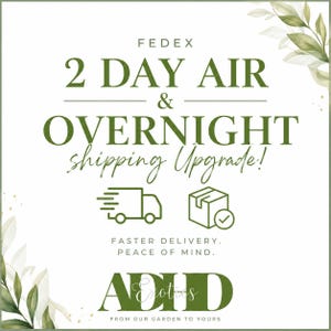 Op de afbeelding: Een wit grafisch bord met groene tekst: FEDEX 2 DAY AIR & OVERNIGHT shipping Upgrade! FASTER DELIVERY, PEACE OF MIND. ADID Exotics FROM OUR GARDEN TO YOURS. Het ontwerp bevat groene bladillustraties in de hoeken en iconen van een vrachtwagen en een doos.
