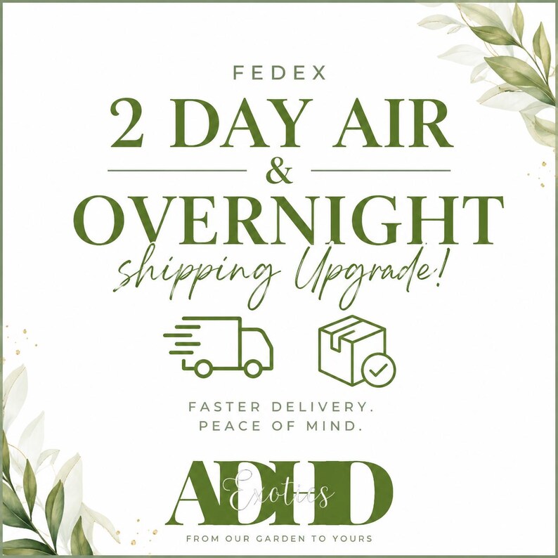 Op de afbeelding: Een wit grafisch bord met groene tekst: FEDEX 2 DAY AIR & OVERNIGHT shipping Upgrade! FASTER DELIVERY, PEACE OF MIND. ADID Exotics FROM OUR GARDEN TO YOURS. Het ontwerp bevat groene bladillustraties in de hoeken en iconen van een vrachtwagen en een doos.