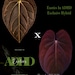 see more listings in the Anthurium section