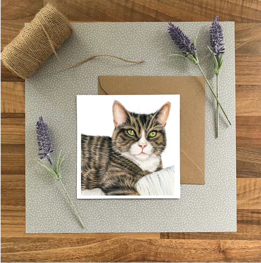 Cat Card / Tabby Cat / Birthday Card / Blank Inside / - Etsy