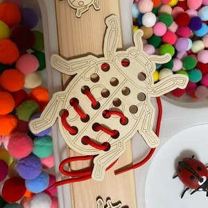 Carte à lacer – coccinelle