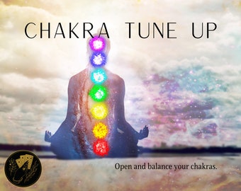 Chakra Balancing Chakra Tune Up Chakra Cleansing Chakra Alignment Intuitive Chakra Reading Same Day Health Reading Chakra Assessment