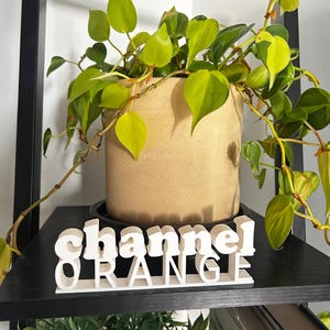Channel Orange Album Sign - Frank O