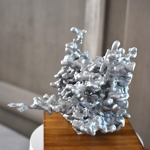 May include: A silver-colored, abstract sculpture with a textured, organic form. The artwork is mounted on a small, rectangular wooden base. The sculpture has a complex, branching structure, resembling a crystallized or molten metal design.