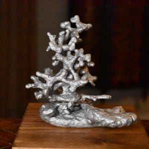 May include: A silver-colored metallic sculpture featuring an intricate, branching structure that resembles natural coral. The object has a textured, uneven surface with multiple protruding arms and a solid, rounded base that supports the vertical form.