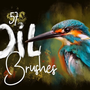 Op de afbeelding: De tekst "57 Oil Brushes" in witte verf op een donkere achtergrond met een kleurrijk schilderij van een ijsvogel.
