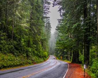 Del Norte Coast Redwoods Photography, Redwood National Park, California Coastal Photography, US 101, Del Norte County