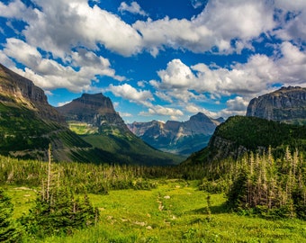 Mountain Meadow Photographic Print, Glacier National Park Photograph, Mountain Photography, Montana Landscape Photography, Wall Art Decor