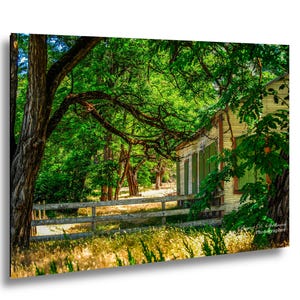 May include: A landscape photograph showing a rustic building with green shutters, framed by dense green foliage. A wooden fence is in the foreground, with long grass and trees. The image captures a sunny, natural scene.