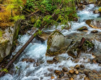 Ladder Creek Falls, Newhalem Washington, Mountain Stream Photography,Washington State Landscapes