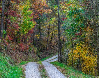 The Road to Grampa's Farm, West Virginia Photography, Fall Color Photography, Rural Road Photography, Fall Color Wall Art, Home Decor Art