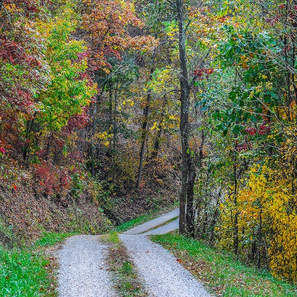 The Road to Grampa's Farm, West Virginia Photography, Fall Color Photography, Rural Road Photography, Fall Color Wall Art, Home Decor Art