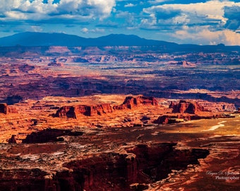 Canyonlands National Park, Utah Photography, Desert Photography, Southwestern Photography, Wall Art Print
