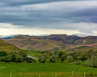 An Elmore County Farm, Idaho Photography, King's Crown, Agriculture Photography, Farm Photography