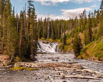 Lewis Falls, Yellowstone National Park Wall Art, Wyoming Photography Home Decor, Stretched Canvas Wall Art, Photo Print