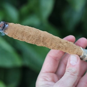 Sandalwood incense bundle with bay leaf, cedarwood and eucalyptus - Smudge Stick