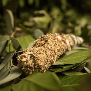 Jarilla incense bundles with laurel, cedar wood and eucalyptus - smudge stick