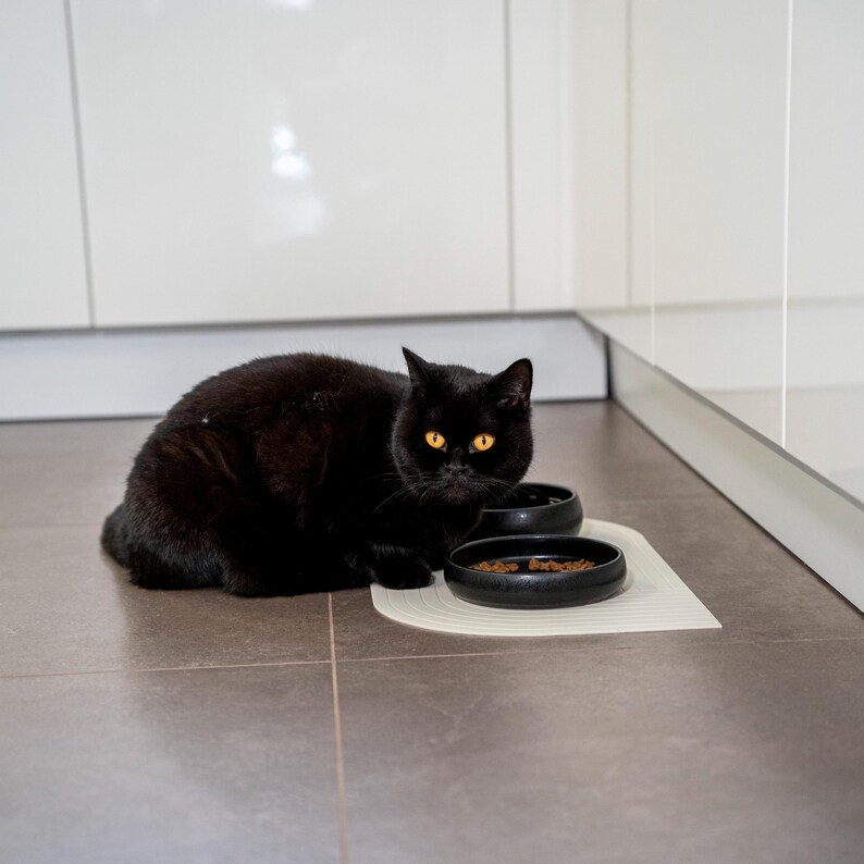 Handmade ceramic bowl for cats | Cat food bowl black | Food bowl | Feeding bowl | Feeding bowl for cats image 6