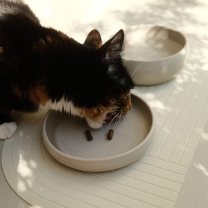 May include: A calico cat eats from a light beige ceramic bowl on a light beige mat. The bowl has a raised rim and the cat is licking its lips. There are two small brown food pellets in the bowl.