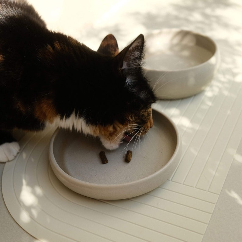 May include: A calico cat eats from a light beige ceramic bowl on a light beige mat. The bowl has a raised rim and the cat is licking its lips. There are two small brown food pellets in the bowl.