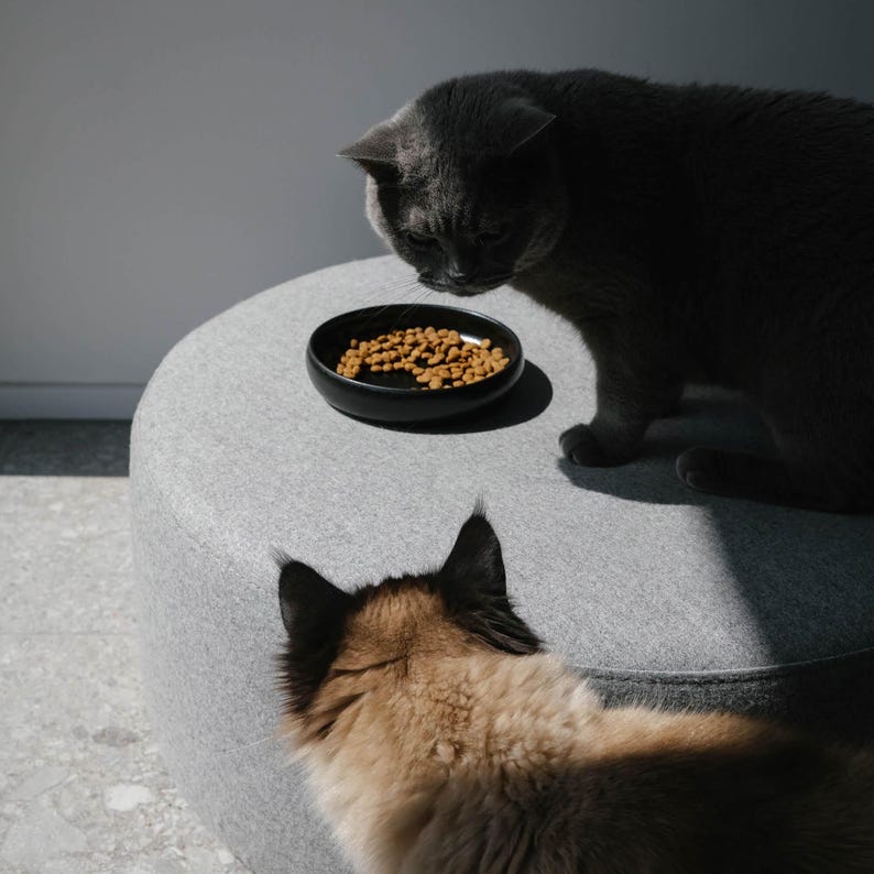 Handmade ceramic bowl for cats | Cat food bowl black | Food bowl | Feeding bowl | Feeding bowl for cats image 4
