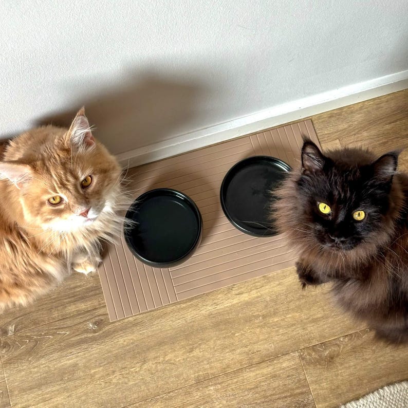 Handmade ceramic bowl for cats | Cat food bowl black | Food bowl | Feeding bowl | Feeding bowl for cats image 5