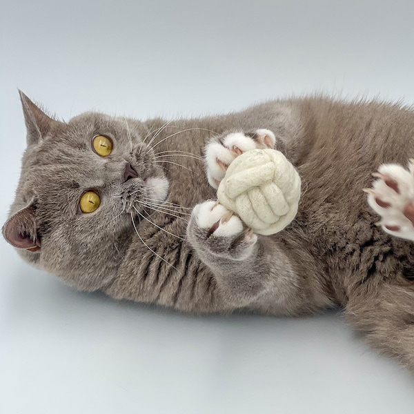 Handgemachter Spielball für Katzen. Filzball. Katzenspielzeug. Katzenbeschäftigung