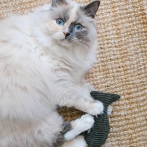 Valerian pillow | Catnip pillow fish | Cat toy | Cuddly pillow | Cat cushion | Cuddly pillow