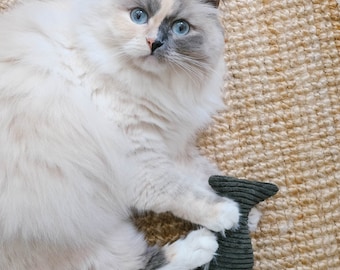 Valerian pillow | Catnip pillow fish | Cat toy | Cuddly pillow | Cat cushion | Cuddly pillow