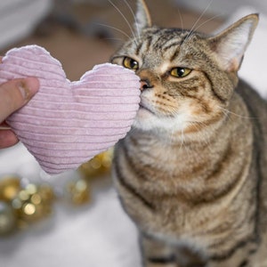 Valerian / Catnip Pillow Heart