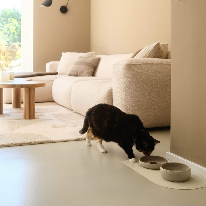 May include: A black and brown cat eats from a beige ceramic bowl on a beige mat in a modern living room with a white sofa.