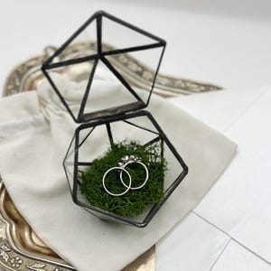 May include: A geometric glass ring box with a hinged lid, containing two silver rings nestled in green moss. The box sits on a silver tray with a white envelope and a small white cloth bag.