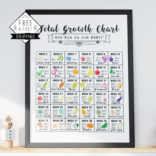 Baby Growth Chart | Pregnancy Gift for Expecting Mommy | Baby Development Week by Week Bump to Baby Poster for Tracking Pregnancy | 18x24"