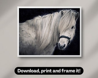 Icelandic horse portrait | Photography wall art | Printable digital download