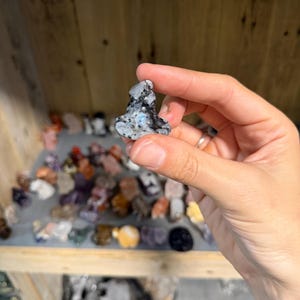 May include: A small, polished stone carving in the shape of a seated figure. The stone features a mottled pattern of black, white, and gray with a distinct iridescent blue flash visible on the front surface, showcasing a smooth, rounded texture.