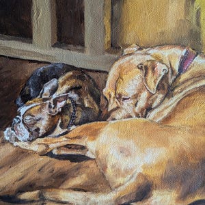 Custom Pet Portrait - Oil Painting