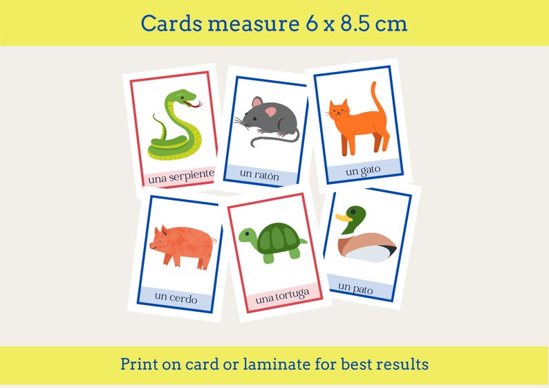 Animals Spanish Vocabulary Flashcards Etsy Animals spanish vocabulary flashcards etsy