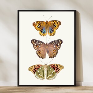 Butterfly Wall Art, Butterfly Print, Butterfly Art, Butterfly Art Print, Butterfly Art Download, Retro Butterfly Print, Printable Butterfly
