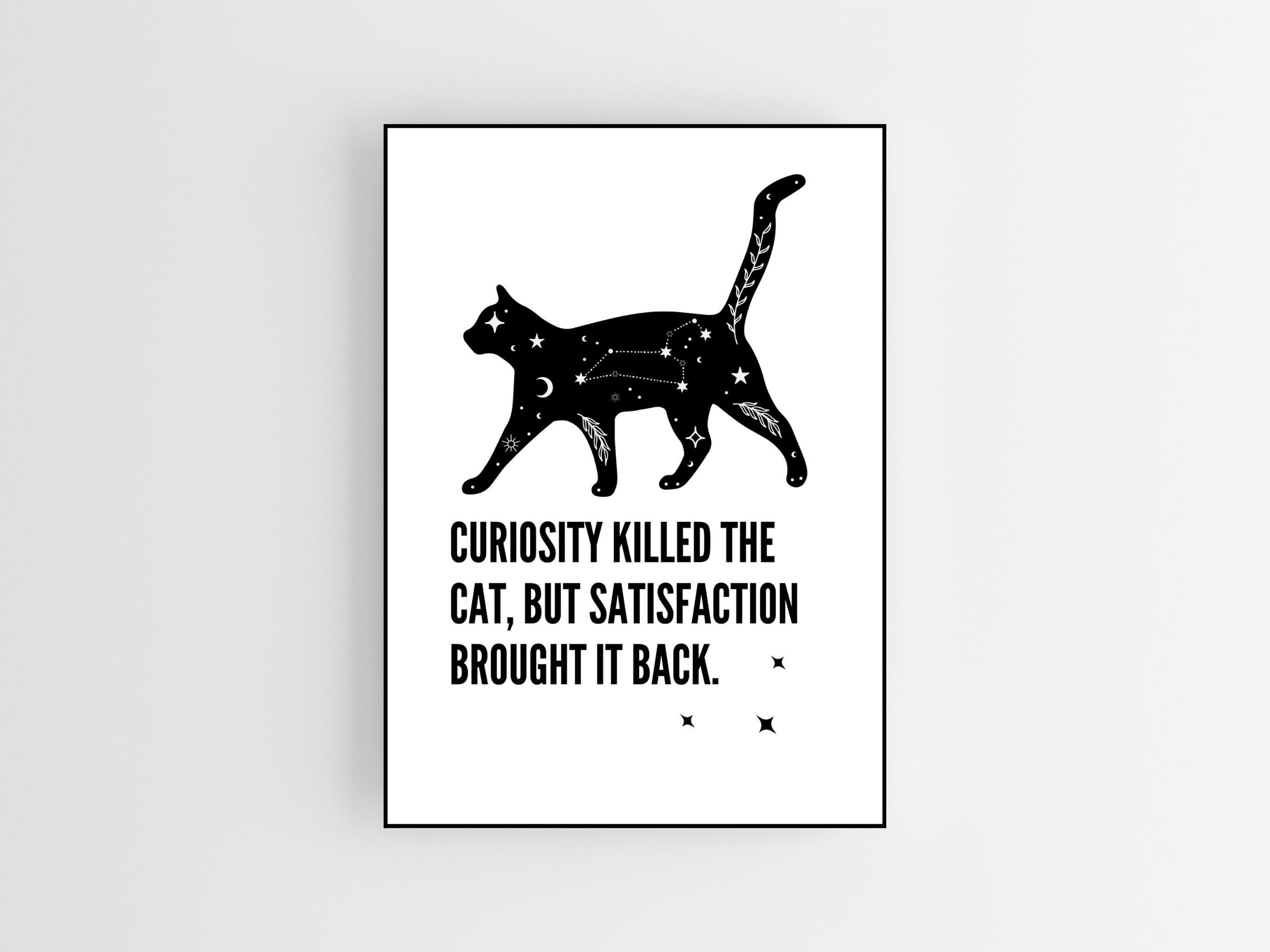 Mars Curiosity Killed The Cat
