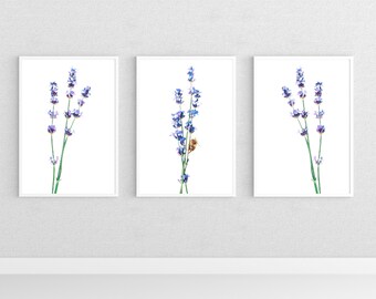 Lavender And Cute Peek-A-Boo Bumble Bee Floral Watercolor Art Print, Lavender Botanical Wall Art, Set of 3 Prints